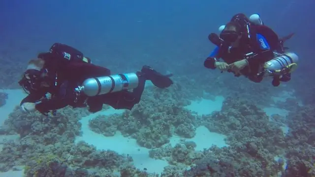 Какие два типа высоких островов?