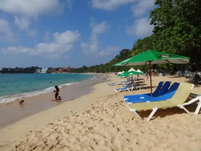 Безопасна ли Гайана для туристов?