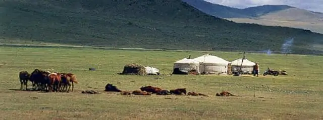 Можно ли жить в юрте в Онтарио?