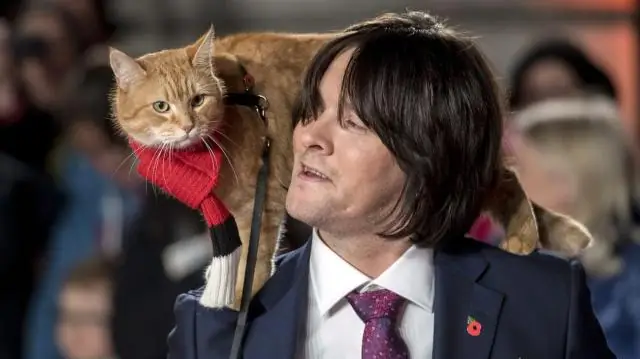 Что самое знаменитое в Финляндии?