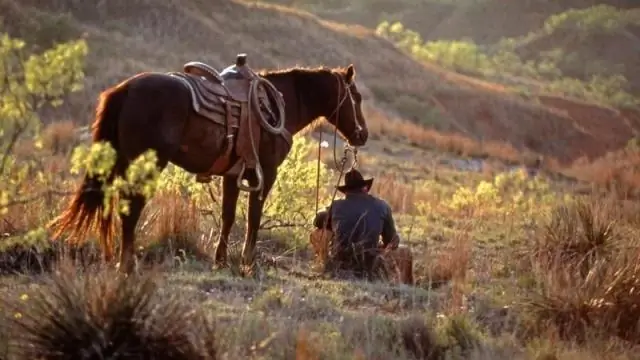 Почему Стивен Остин уехал в Техас?