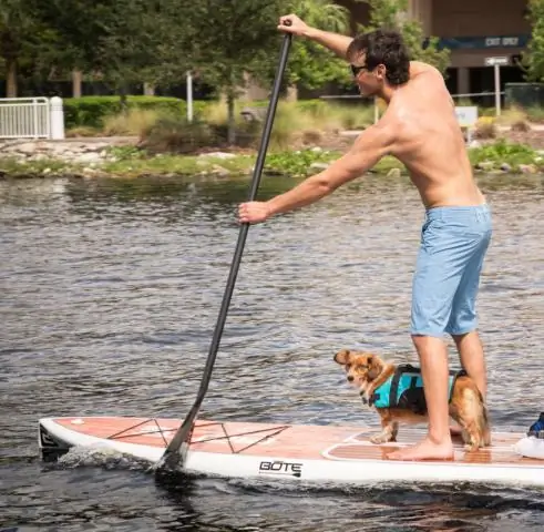 Почему во Флориде нет фламинго?