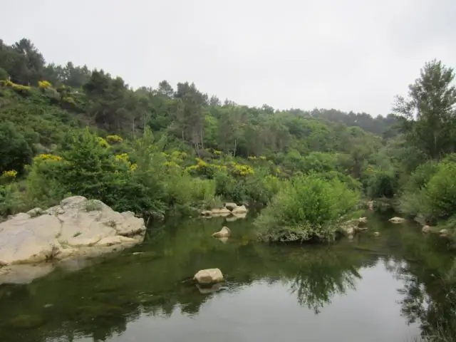 Разве незаконно добывать камни из реки Великобритании?