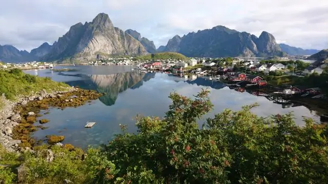 Вам нужна виза для поездки в Норвегию?