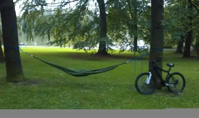 Гамаки вредны для деревьев?