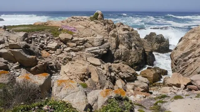 Сколько стоит проехать 17 Mile Drive?