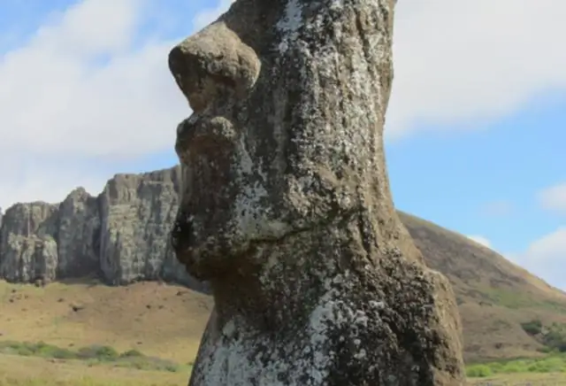 Есть ли еще крысы на острове Пасхи?