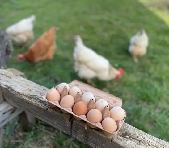 Сколько стоит покраска кожаных сидений?