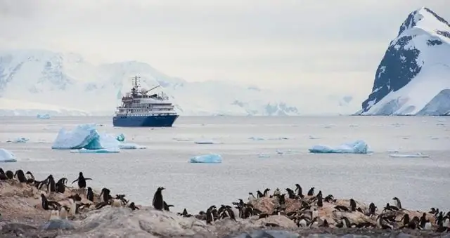Какова основная цель Договора об Антарктике?