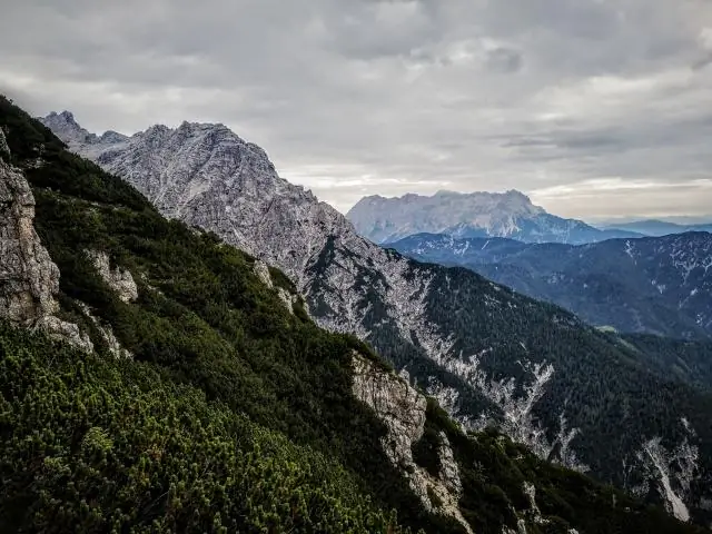 Чему часто подвергаются животные на каменистых берегах?