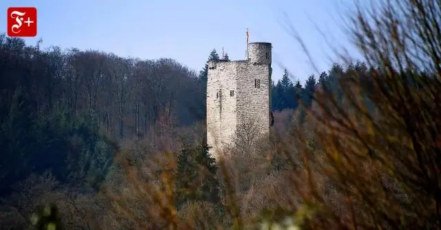 Можно ли купить спрей от постельных клопов в Home Depot?