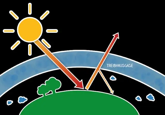 Какой пример космополитизма?