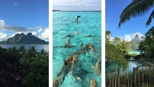 Какая раса обитает на Бора-Бора?