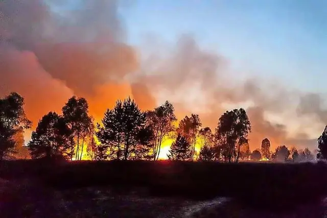 Сколько акров сгорел краевой огонь?