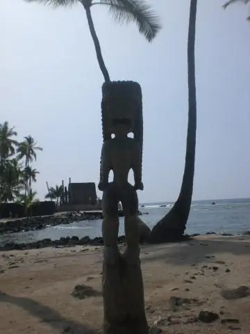 Ели ли гавайцы тюленей-монахов?