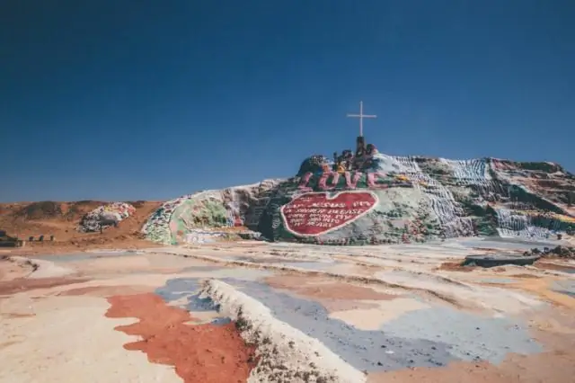 Что убило Солтон-Си?