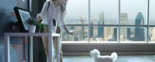 Как мы можем перевести объект сеанса в спящий режим?