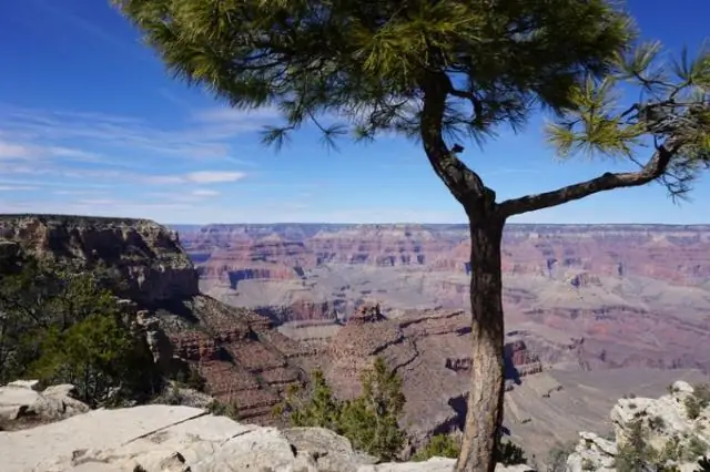 Почему слои Гранд-Каньона разного цвета?