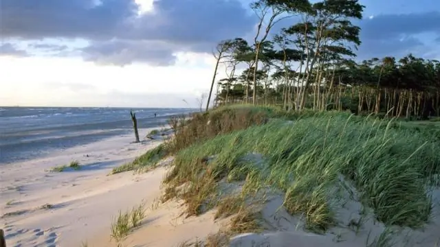 Как далеко Гейнсвилл Флорида от океана?