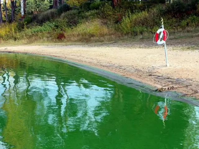 Вы умеете плавать в озере Наррабин?