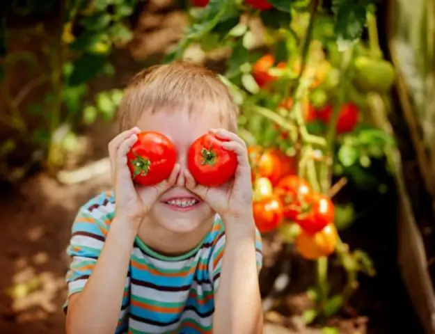 Откуда в Канаде помидоры?