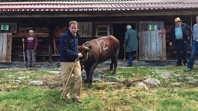 Кому принадлежит Thomas the Train?