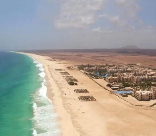 Есть ли акулы на пляже Санта-Моника?