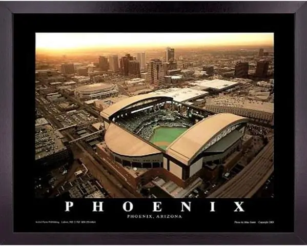 Что вы можете принести в Chase Field?