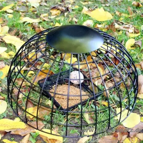 Как защитить бетонную подъездную дорожку?