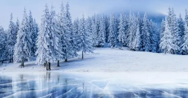 Когда случился костер?