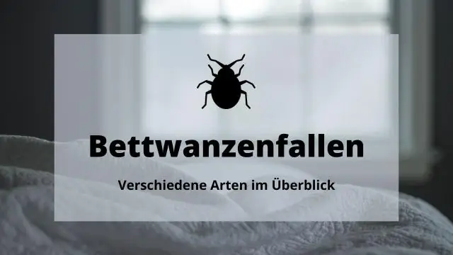 Работают ли ловушки для постельных клопов с феромонами?