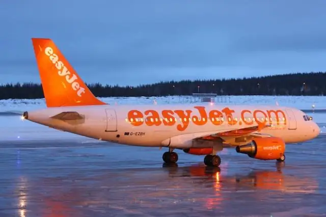 Сколько American Airlines взимает за багаж?