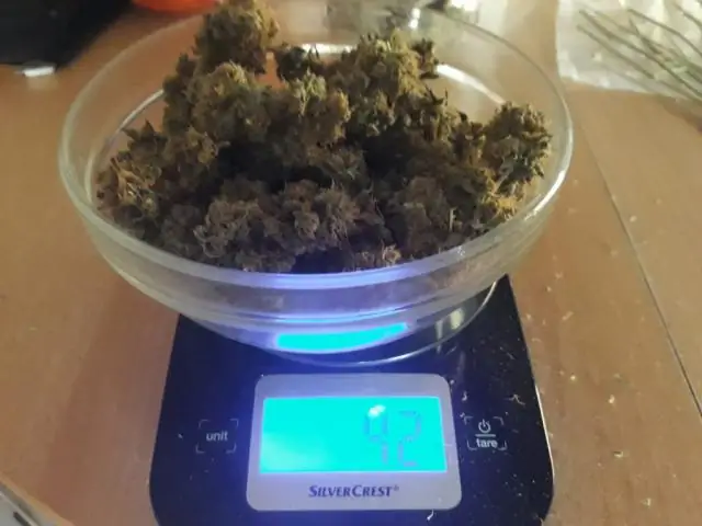 Сколько весят походные стулья?