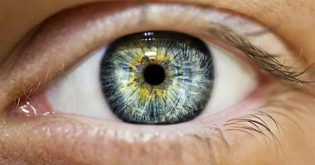 Какой размер двухспальной кровати?