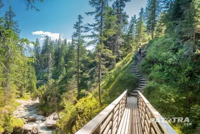 Куда люди мигрируют в США?