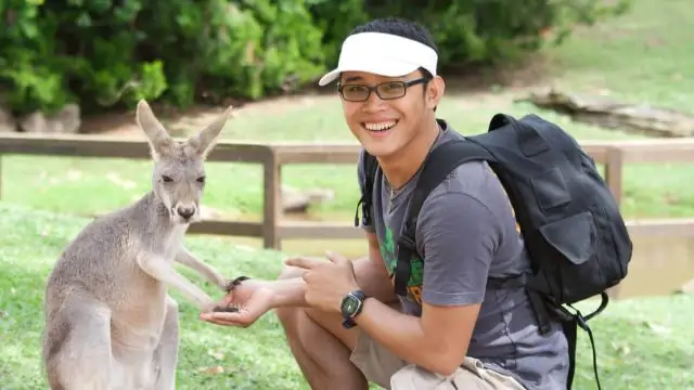 Сколько стоит переехать в Америку из Австралии?