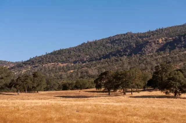 Почему китайцы приехали в Сан-Франциско?