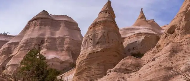 Какой цветок для Нью-Мексико?