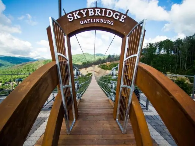 Сколько времени нужно, чтобы добраться с Цинциннати до Гатлинбург?