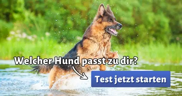 Какой блендер лучший?