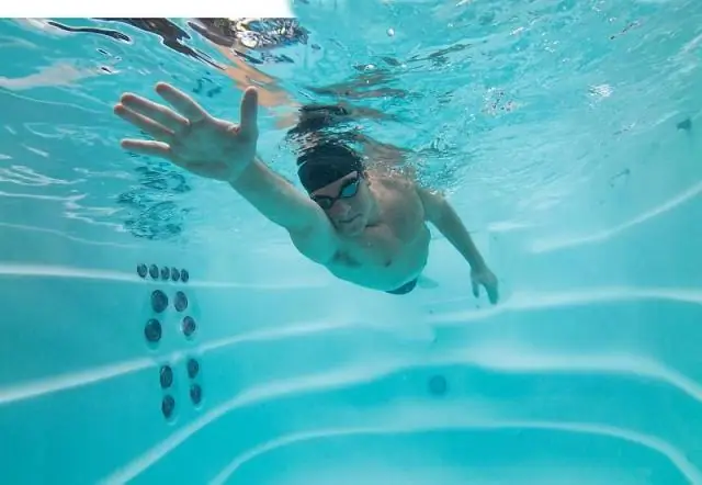 Сколько стоит Майкл Фелпс Swim Spa?