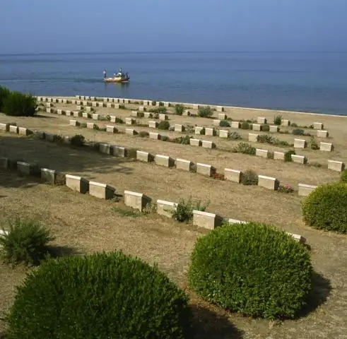 Почему Анзак сражался в Галлиполи?