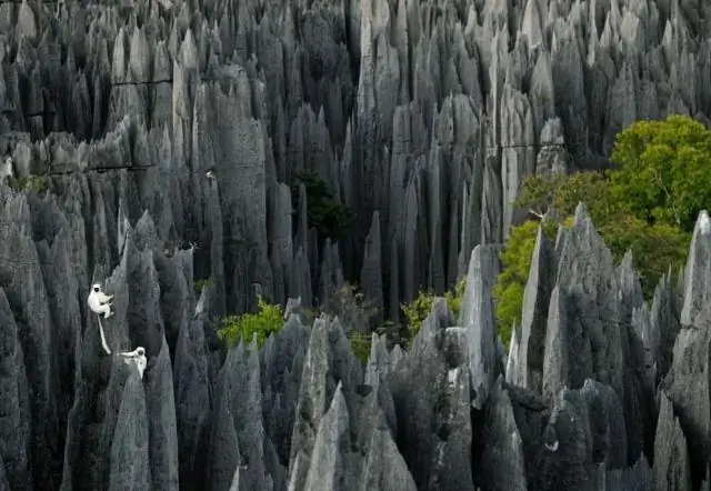 Каковы формы рельефа в Южной Азии?