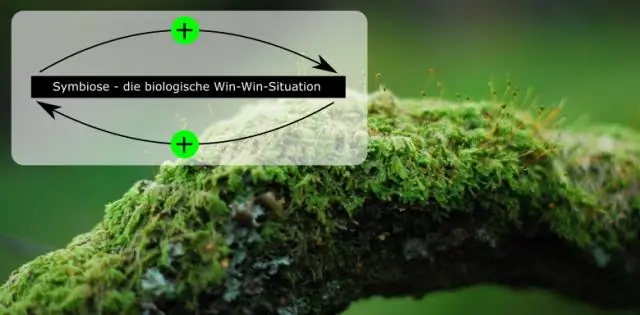 Какие симбиотические отношения складываются в арктической тундре?