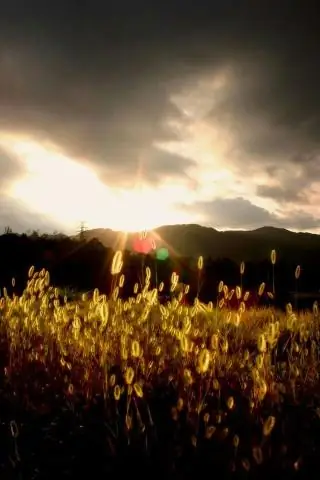 Сможете ли вы долететь до долины Напа?