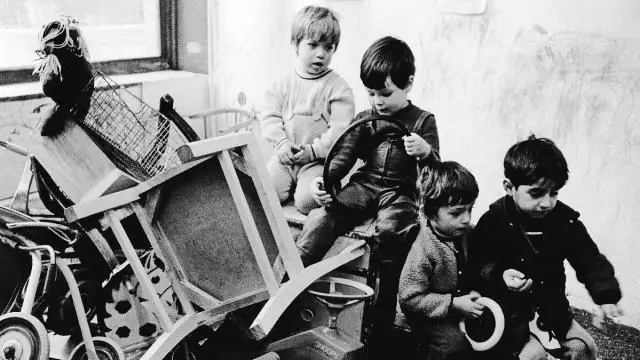 Каковы были последствия политики ассимиляции?