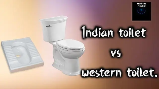 Какой туалет лучше индийский или западный?