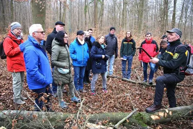 Что общего у Эсперансы с деревьями?