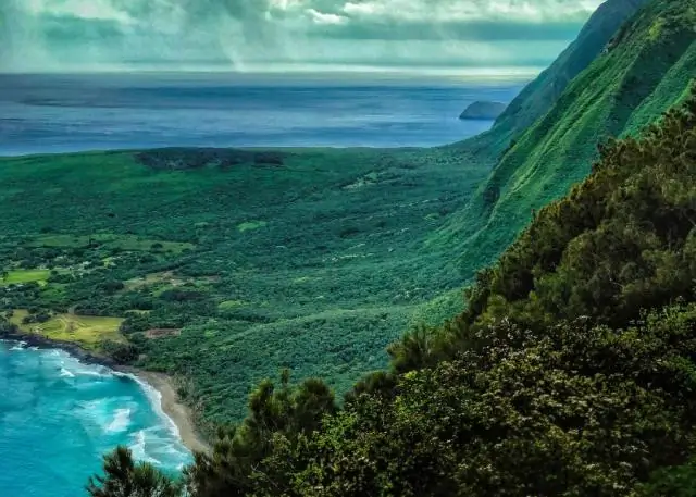 Как мы можем помочь гавайскому тюленю-монаху?