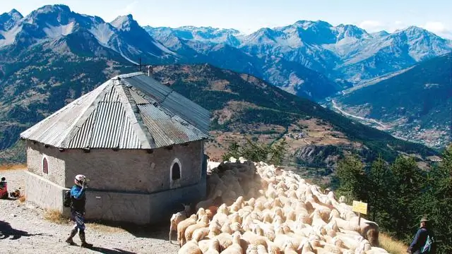 Как передать MetroCard?